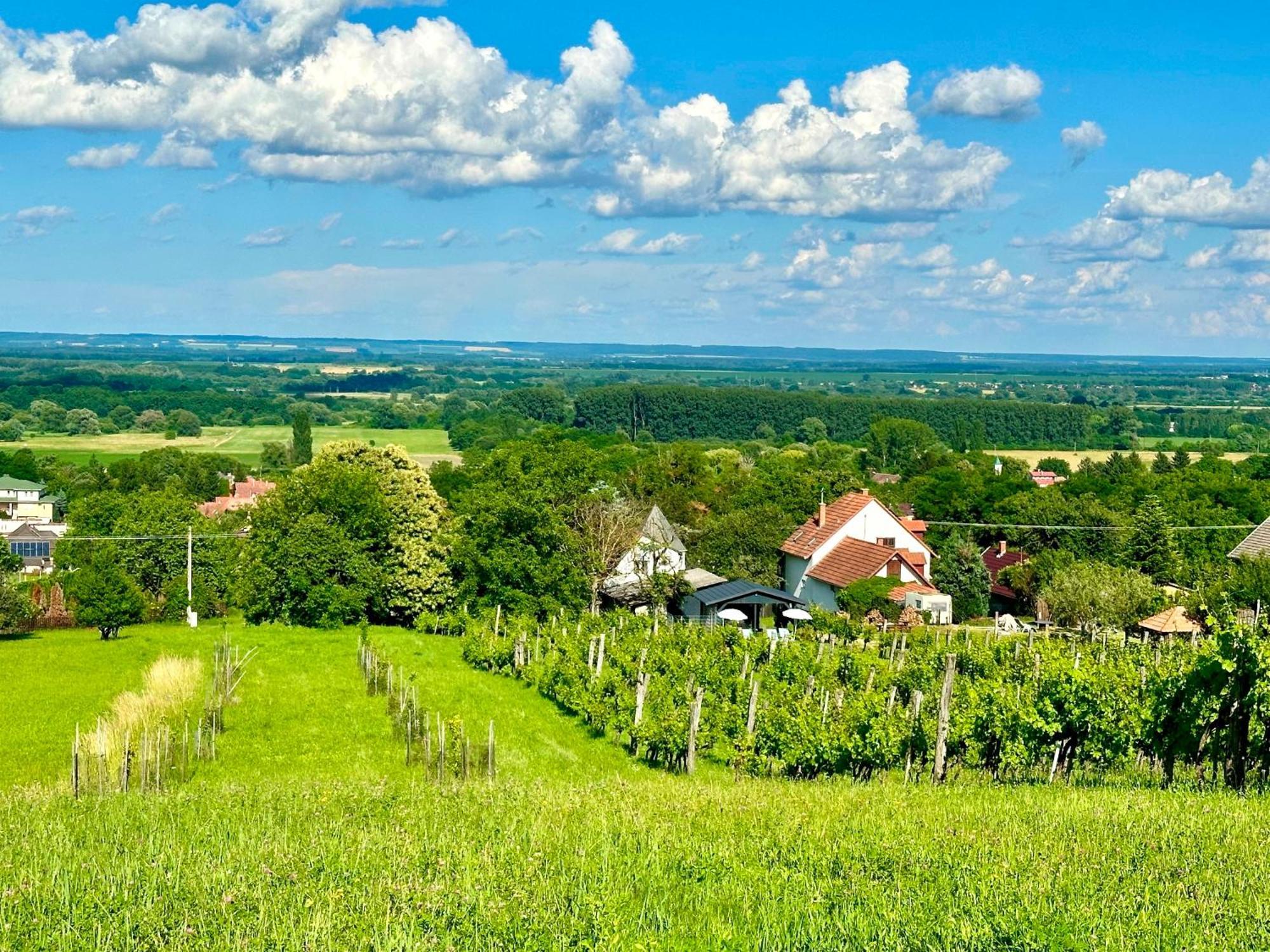 Szent Orban Panzio - Kutyabarat Apartmanok Zalakaros Zewnętrze zdjęcie