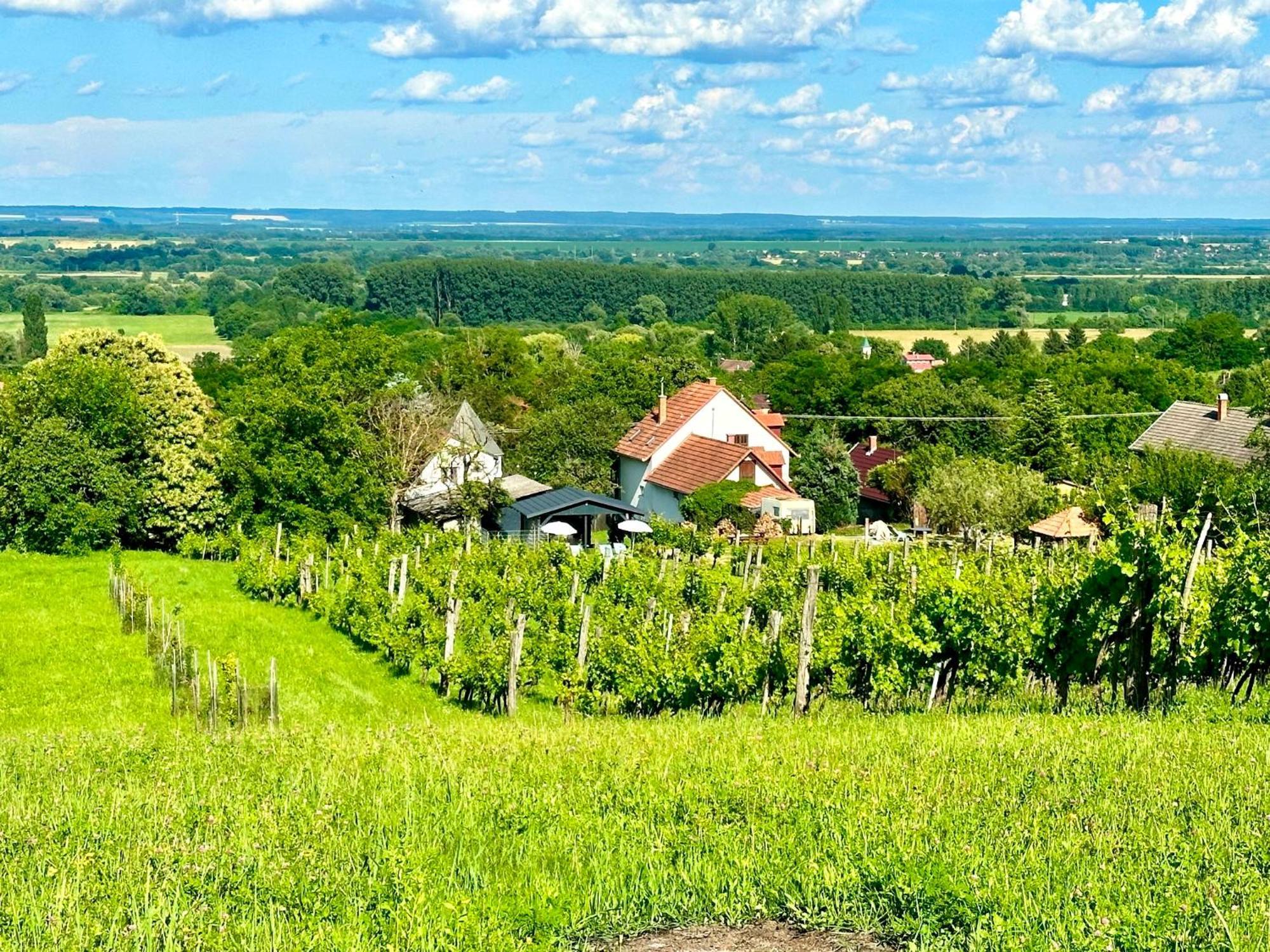 Szent Orban Panzio - Kutyabarat Apartmanok Zalakaros Zewnętrze zdjęcie
